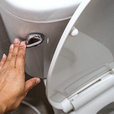 Toilet Repair & Installation